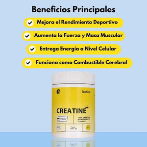 Creatina+ Basics Creapure 300g